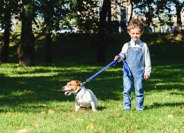 istock Amusing kid boy copying and teasing dog with tongue out 1339478988