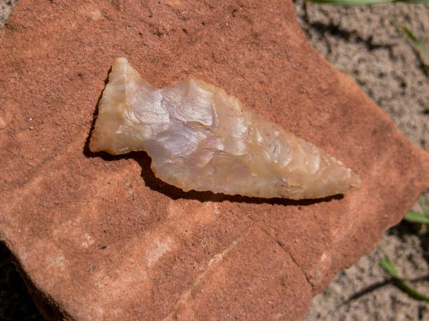 Sinaguan Projectile Point A thousand or more years ago, natives inhabited the lower elevations around the San Francisco Peaks of Northern Arizona. In an area so dry it would seem impossible to live, they built pueblos, harvested rainwater, grew crops, hunted game and raised families. Today the remnants of their villages dot the landscape along with other artifacts such as this obsidian projectile point from the Sinaguan era; about 500AD to 1450AD. Although commonly called an arrowhead, the point was probably not attached to an arrow or shot from a bow, a weapon not thought to be used by the Sinagua. More likely it was affixed to the tip of a spear and thrown to strike and kill game animals. It is unlawful to remove artifacts, such as this point, from a native site. They may be examined but must be returned to their original location. This projectile point was photographed at Sandy Seep in the Coconino National Forest near Flagstaff, Arizona, USA. jeff goulden southwest usa stock pictures, royalty-free photos & images