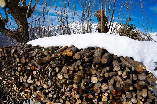 firewood stacked under snow in Pyrenees of Huesca Spain