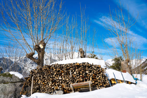 istock firewood stacked under snow in Pyrenees Spain 1339481614