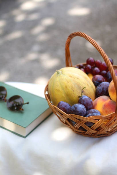 istock Picnic Basket, Book and Sunglasses 1339482847
