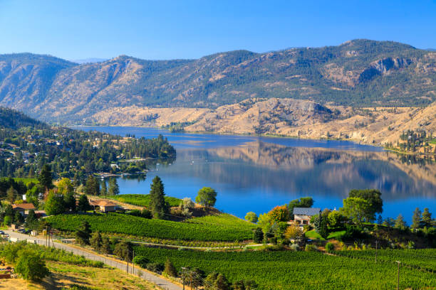 skaha lago okanagan falls penticton columbia britannica - okanagan vineyard okanagan valley valley foto e immagini stock