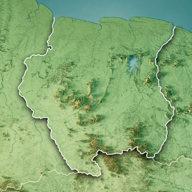 istock Suriname 3D Render Topographic Map Color Border 1339486193