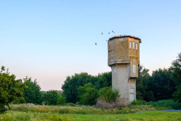 istock A large lonely abandoned water tower among the trees. 1339487499