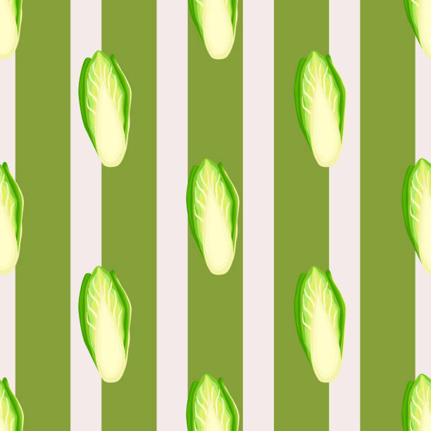 illustrazioni stock, clip art, cartoni animati e icone di tendenza di modello senza cuciture cavolo di cicoria su sfondo a strisce. ornamento con lattuga. - lettuce endive abstract leaf