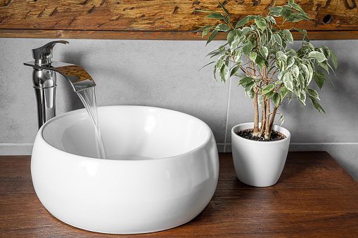 Ficus in a white pot near the sink in the bathroom with rustic elements