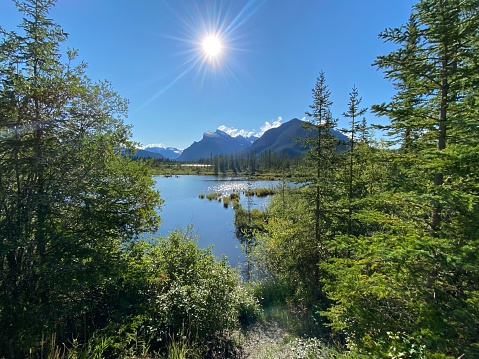 Landscape image taken at vermilion lakes near Banff in Alberta Canada on a sunny summer day. The sun is in the image shining bright