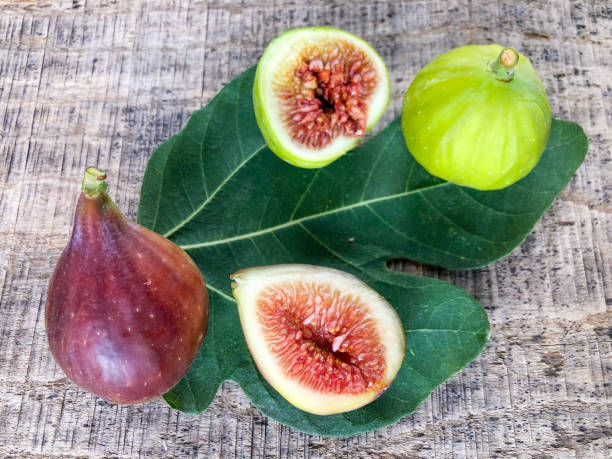 istock two different types of fig fruits on the wooden table 1339491204