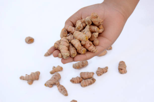istock bunch the brown yellow turmeric hold on hand isolated on white background. 1339495431