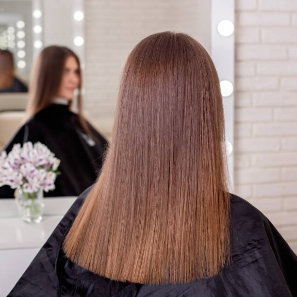 istock Female back with long straight brunette hair 1339497057