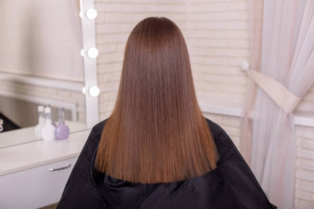 istock Female back with long straight brunette hair 1339497063