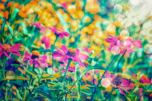 Flower bed in Vienna