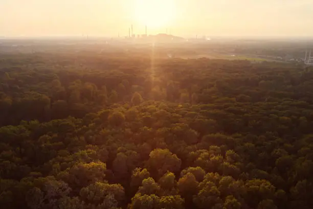 Drone view over forest and trees and an industrial area during the sunset in the ruhr area in Germany. The image was taken in Gelsenkirchen in a forest with a factory nearby.