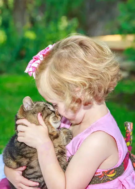 A little girl in a pink dress holding her cat