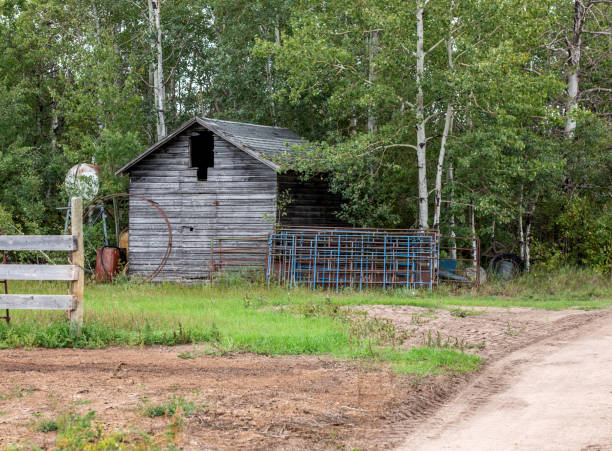 istock A run-down old building nestled in the trees. 1339513728