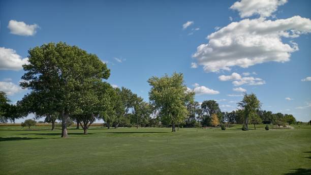 istock Golf course fairway with line of trees under a blue sky with clouds 1339516523