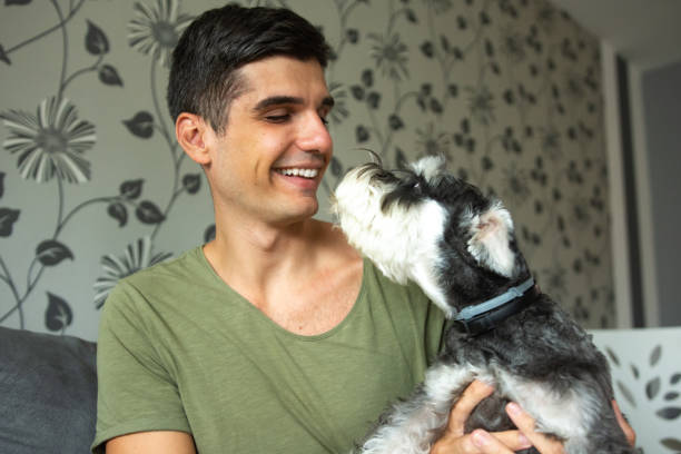 istock Young man playing with his dog at home 1339517659