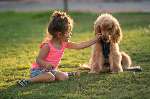 Portrait of cute little 3 years old girl playing with pet dog in outdoor. Shot in outdoor daylight with a full frame mirrorless camera.
