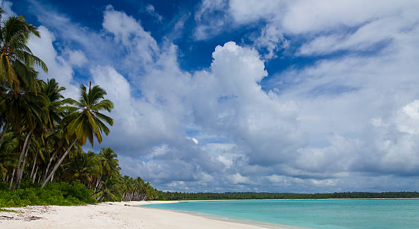 istock Tropical beach with the white coral sand 133952243