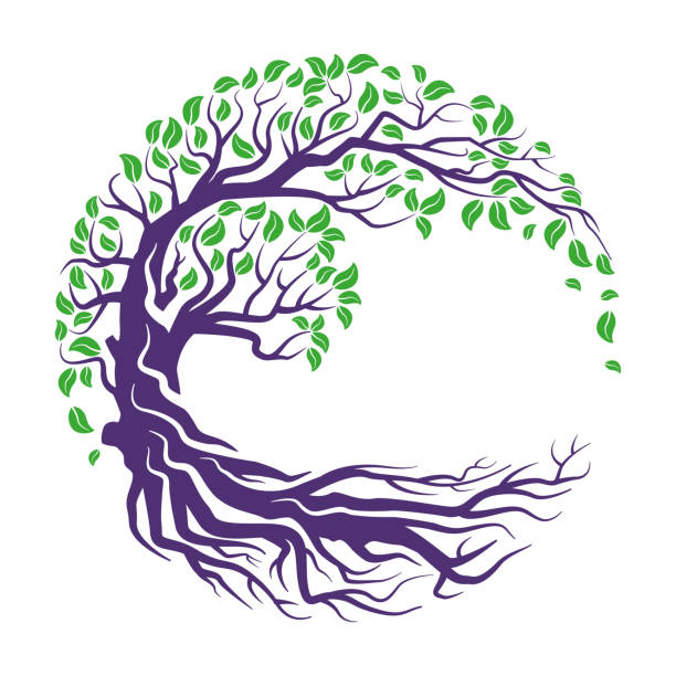 ikona marki okrągłego drzewa graficznego - tree root nature environment stock illustrations