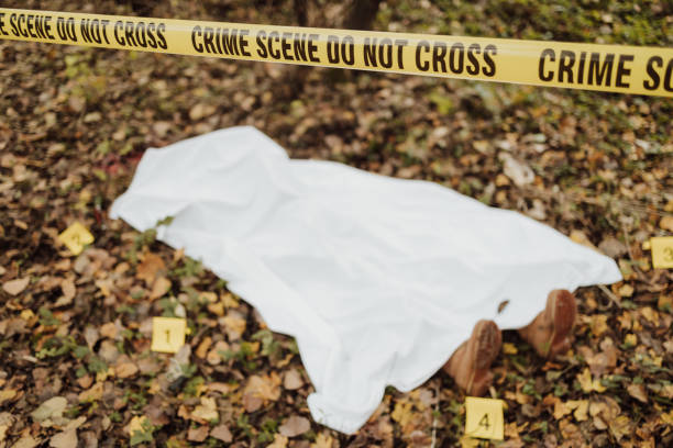 Group of people, crime scene investigation, police and forensics doing their jobs, there is a dead body in the forest. Investigation process. Dead body covered with white shirt lying on the ground in the woods. Crime scene setup. organized crime photos stock pictures, royalty-free photos & images