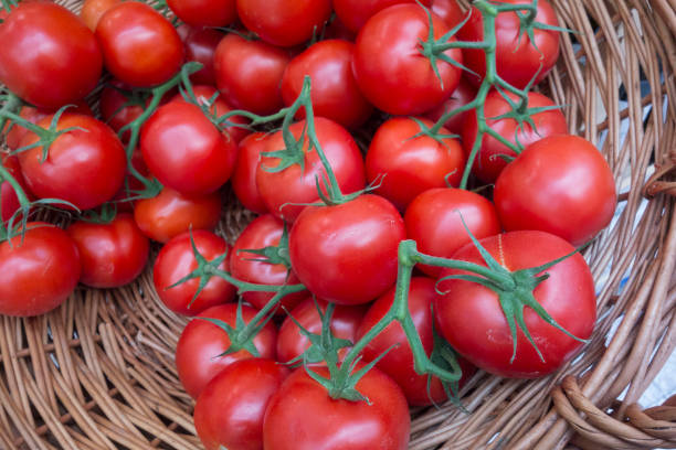 istock red and ripe tomato vegetable 1339527516