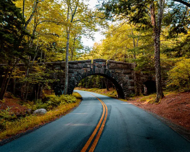 Historic and rustic looking shot of a bridge in Acadia National Park