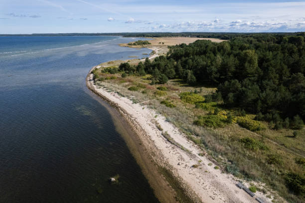 istock Summer nature beach in Estonia. 1339531288