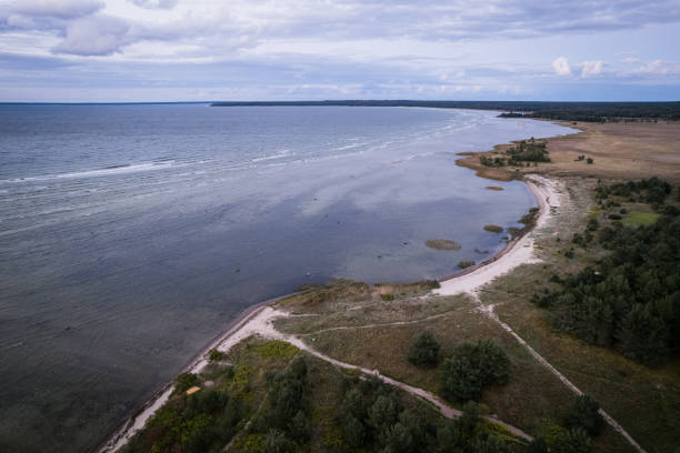 istock Summer nature beach in Estonia. 1339531320