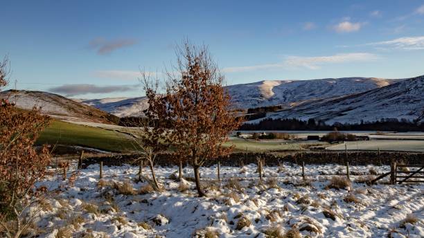 istock Winter Bosworth Countryside. 1339539836