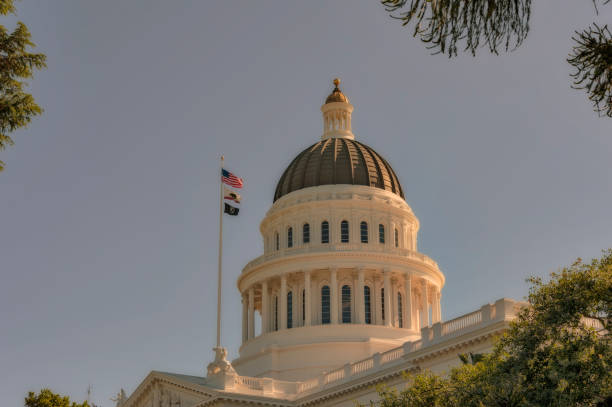 istock California Capitol Dome with Flags Morning View 1339542898