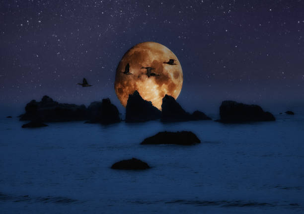 istock Moon rise over the ocean 1339543842