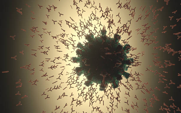 istock Y-Shaped Antibody Attacking Coronavirus Covid-19 1339550013