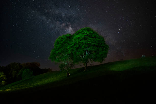 Amazing beautiful of night sky Milky Way Galaxy , Beautiful Milky Way galaxy, Long exposure photograph, with grain.Image contain certain grain or noise and soft focus. Amazing beautiful of night sky Milky Way Galaxy , Beautiful Milky Way galaxy, Long exposure photograph, with grain.Image contain certain grain or noise and soft focus. stars in your eyes stock pictures, royalty-free photos & images