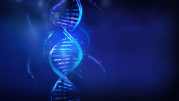 istock Luminous DNA strands on a dark blue background, 3D render. 1339566064