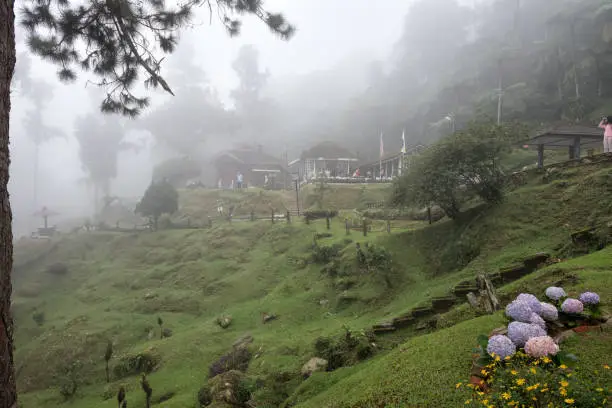 Photo of Bukit Larut is one of tourist attraction in Taiping, can be reached by 4x4 ride with serene foggy environment weather, Malaysia.