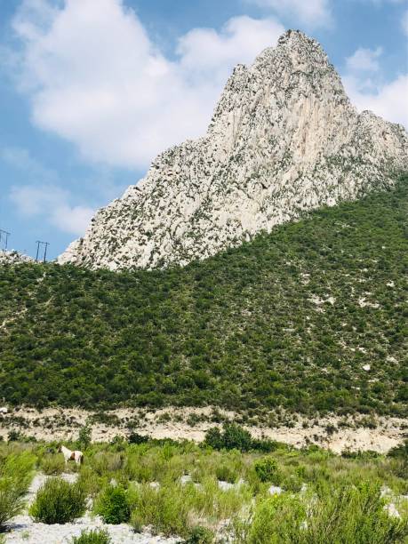 istock La Huasteca Monterrey Park 1339573919