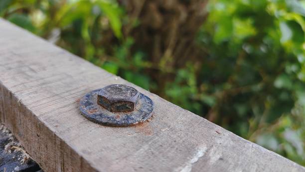 istock wood log very old nut bolt material 1339584864