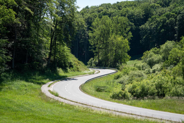 Beautiful curvy road between trees and grass fields in summer