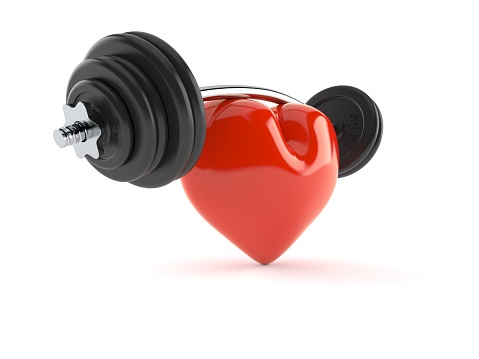 Heart with barbell isolated on white background. 3d illustration