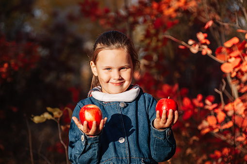 Autumn forest concept. Cute happy girl in jeans coat hold big red apple with autumn background.
