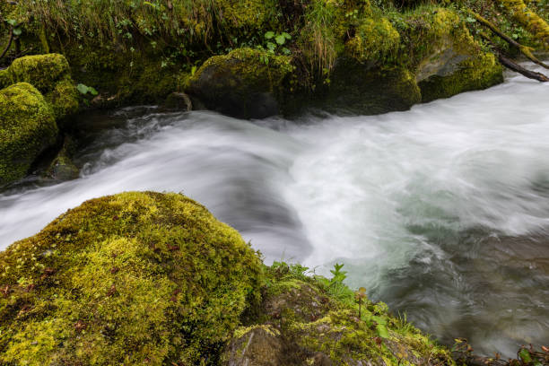 istock mountain river in the Leitariegos valley, Asturias 1339601903