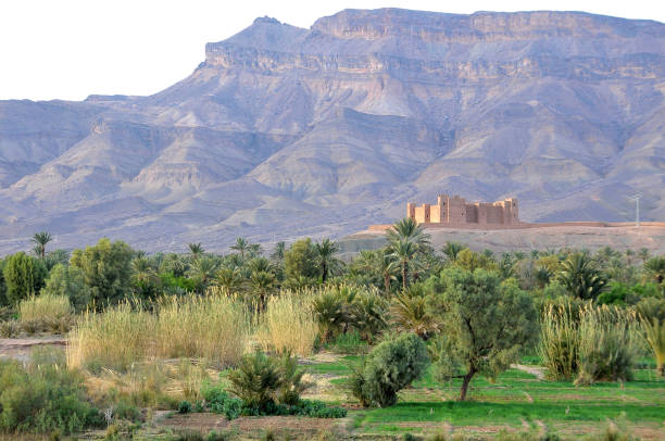 istock Mountainous landscape and kasbah in Dades 1339612319