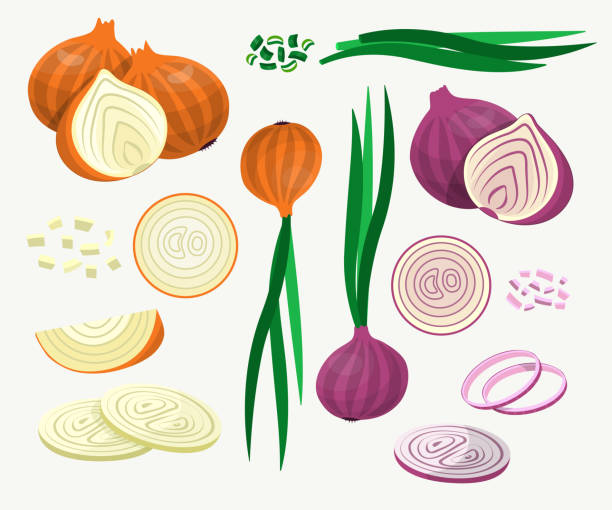 Fresh yellow and red onions vector illustrations set Fresh yellow and red onions vector illustrations set. Onions cut into rings and slices, whole ripe vegetables isolated on white background. Food, agriculture, nature concept onion stock illustrations