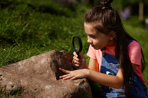 little child girl look at stone using magnifying glass in park