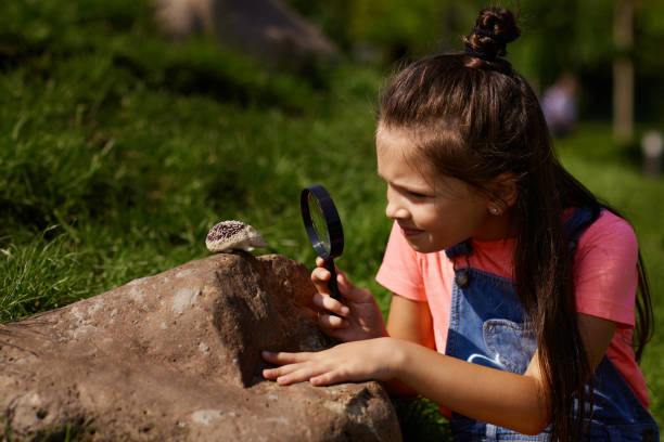 istock little kids look at hedgehog using magnifier 1339621437