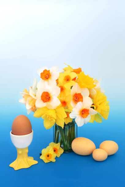 istock Easter Eggs and Daffodil Flower Still Life 1339622009