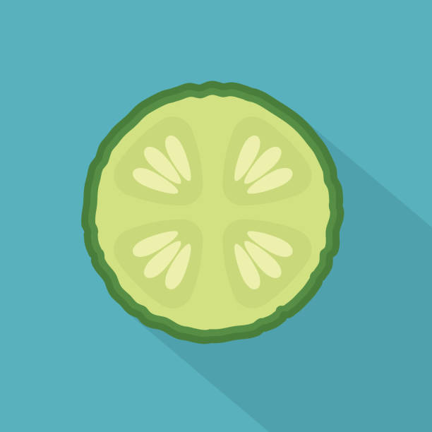 キュウリスライス - restaurant backgrounds cucumber dieting点のイラスト素材／クリップアート素材／マンガ素材／アイコン素材