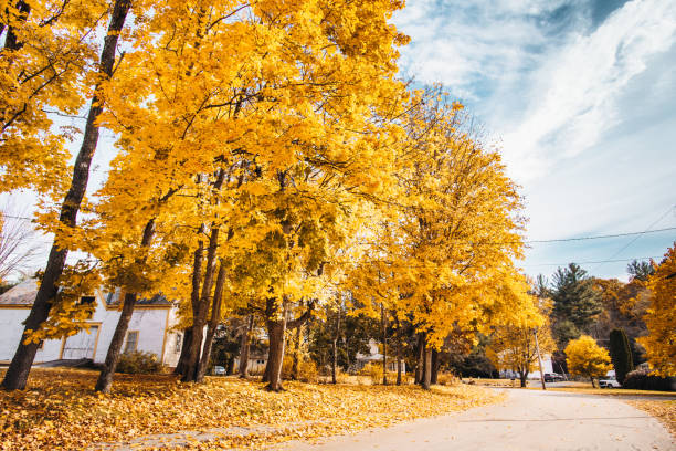 appalachian road in new hampshire