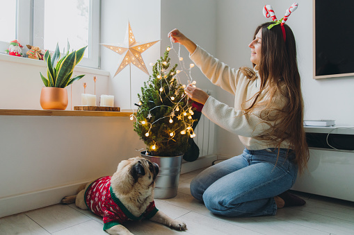 Happy woman with long hair in Christmas horns and her cute pug in celebrating sweater decorating an eco Christmas pine tree in pot by the bright lights sitting on the floor in living room